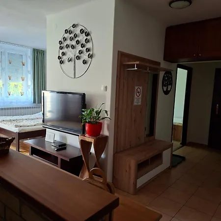 Apartment Centrum *
